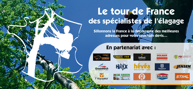 Nous vous embarquons pour un tour de France des spécialistes de l’élagage