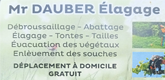 – Dauber Kévin Elagueur –