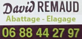 Elagage David Remaud