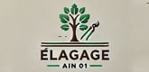 – Elagage Ain –