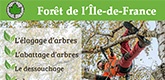 Forêt de l’Ile-de-France Forêt de l’Ile-de-France