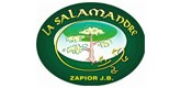 – La Salamandre –