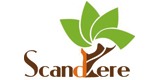 Scandere-165-X-80