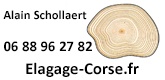 Schollaert-Alain
