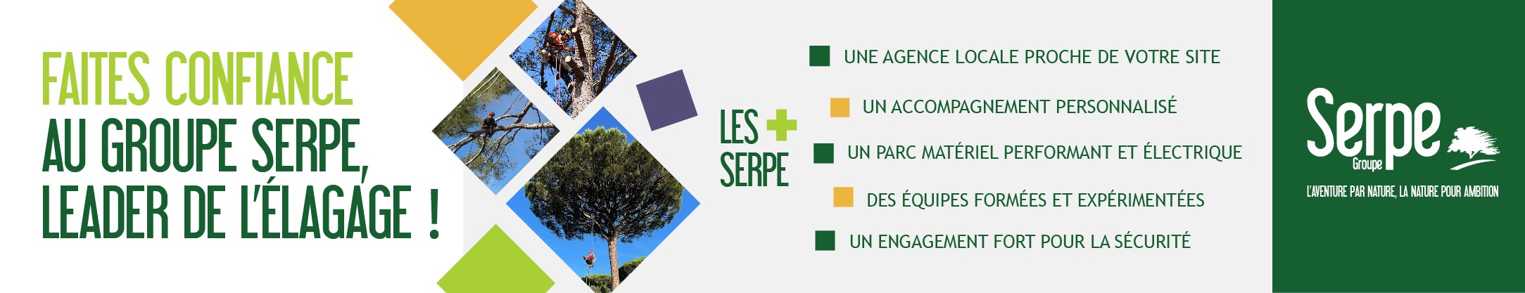 Serpe 520x100